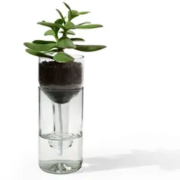 Side by Side Side by Side Self Watering Bottle / Blumenbewässerungssystem – Produktbild 1 von 1