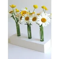 Die Schreiner Christoph Siegel Die Schreiner Christoph Siegel Zeitlos-elegante, dekorative Holzvase "White Spring" – Produktbild 1 von 1