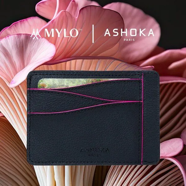 Ashoka Paris Ashoka Paris Großes Kartenetui aus Pilzleder Mylo Rosa – Produktbild 1 von 5