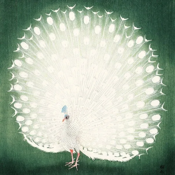 Photocircle Photocircle Poster / Leinwandbild - Pfau von Ohara Koson – Produktbild 1 von 4