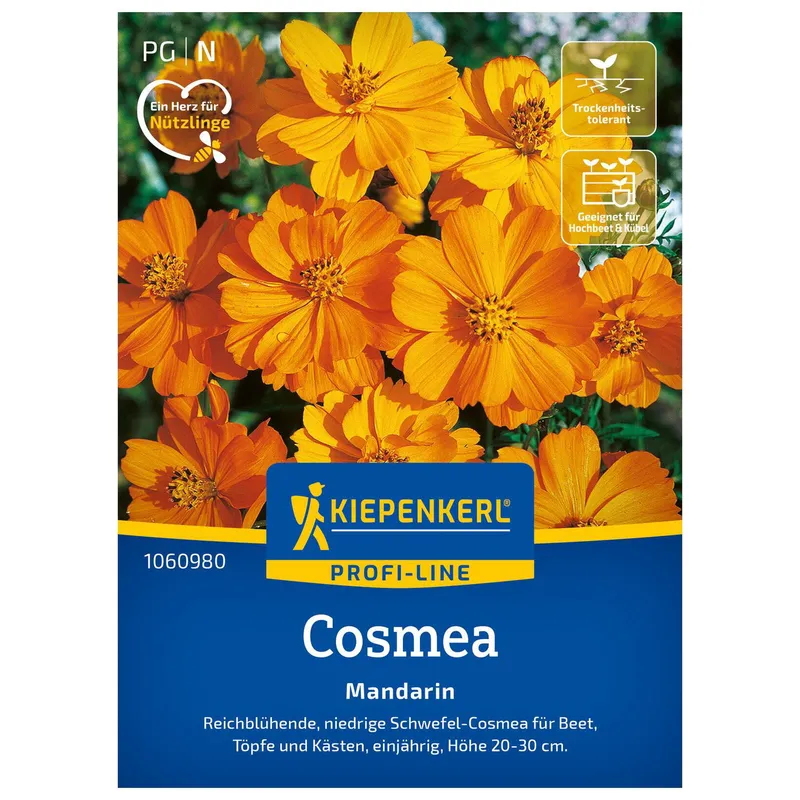 Kiepenkerl Kiepenkerl Cosmos Mandarin – Produktbild 1 von 2