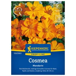 Kiepenkerl Kiepenkerl Cosmos Mandarin – Produktbild 1 von 1