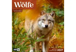 Ackermann Wandkalender Wölfe Kalender 2027 - 30x30 - Art12 – Produktbild 1 von 1