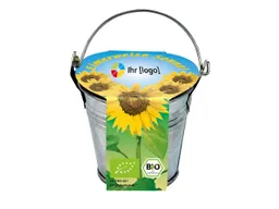 Bio-Mini-Pflanzset "Eimerchen", Sonnenblume – Produktbild 1 von 1
