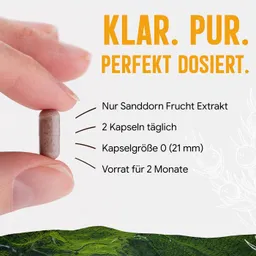 Dorado Superfoods Sanddorn Extrakt Kapseln – 500 mg Frucht – 30% Vitamin C, 120 Stück Kapsel, 72 g – Produktbild 1 von 1