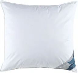 Haeussling 3-Kammer-Kopfkissen GRÖNLAND, Kissen in 40x80 & 80x80 cm, Füllung: Außenkammer 90% Daunen, 10% Federn, Innenkammer 100% Federn, Bezug: 100% Baumwolle, Seitenschläfer, hochwertiges Daunenprodukt "Made in Green" zertifiziert – Produktbild 1 von 1