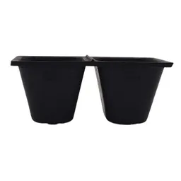 Fair Zone FAIR ZONE Saatgutschale L – Anzuchttöpfe je 5 x 4 cm – Produktbild 1 von 1