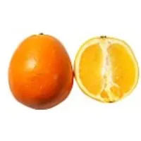Spanien Orangen Midknight – Produktbild 1 von 1