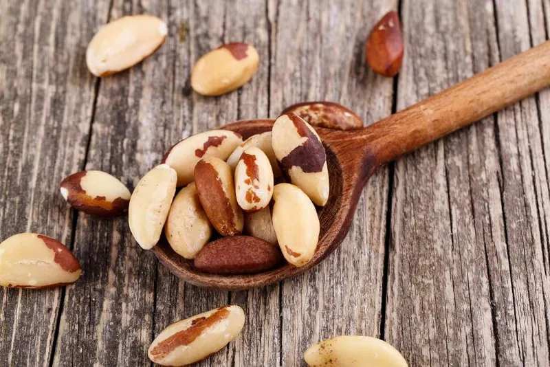1001 Frucht Nüsse Paranusskerne aus Bolivien - Limitierte Qualität – Produktbild 2 von 5