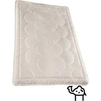 Prolana Prolana Sommersteppdecke SIBARI 155x220 cm 650g Kamelhaar – Produktbild 1 von 1