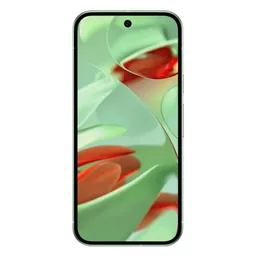 Google Google Pixel 9 128GB Wintergreen – Produktbild 1 von 1