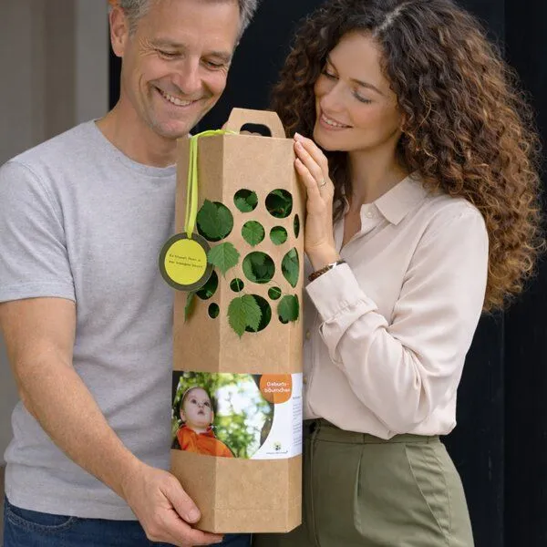 SchenkeinBäumchen SchenkeinBäumchen Geburtsbaum inkl. Bärchen – Produktbild 4 von 6