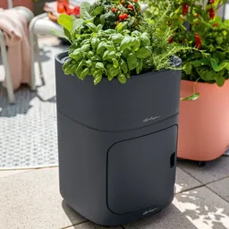 Lechuza® Lechuza® 'Pila Color Planter', schiefergrau, ca. 35 x 35 x H 32,5 cm – Produktbild 1 von 1