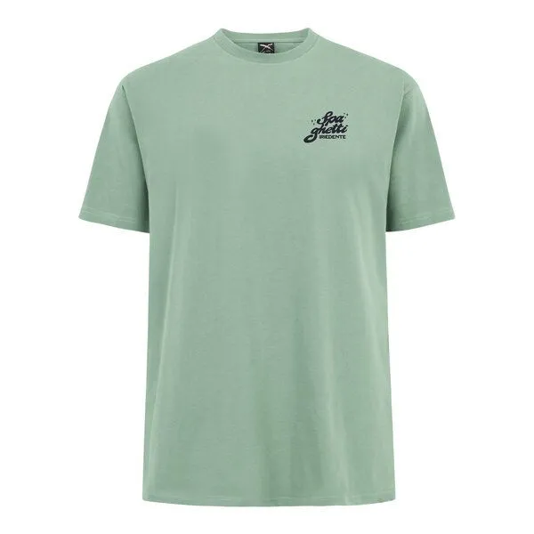 Iriedaily Iriedaily Spa Ghetti Tee, Mint haze (grün), – Produktbild 1 von 4
