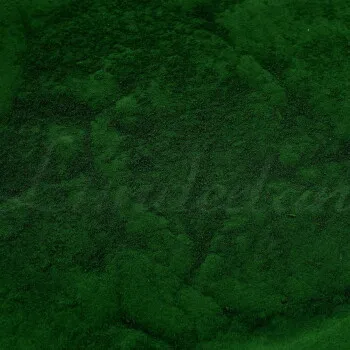 Lunderland Lunderland Sonnen-Chlorella 2 x 100 g – Produktbild 2 von 2