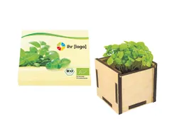 Bio Pflanzsteckbox 'Basilikum' – Produktbild 1 von 1