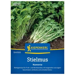 Kiepenkerl Kiepenkerl Saatgut, Rübstiel, Stielmus 'Namenia' – Produktbild 1 von 1
