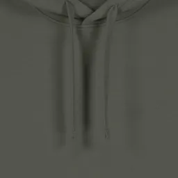 Inaska Inaska Herren vegan Hoodie Signature Eco Khaki Sage – Produktbild 1 von 1