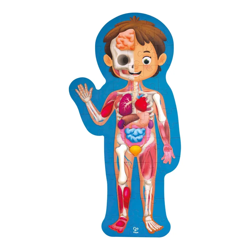 Hape Hape Puzzle Mein Körper, Mehrfarbig, – Produktbild 1 von 3