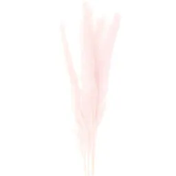 Rico Design Rico Design Getrocknetes Pampasgras pink 65-75cm 6 Stück – Produktbild 1 von 1