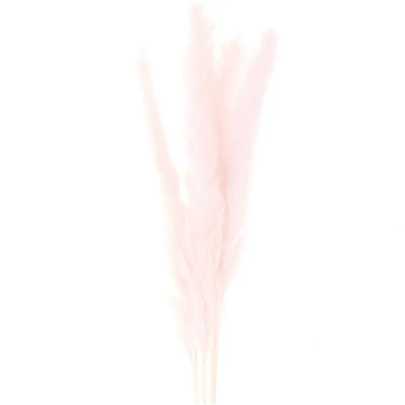 Rico Design Rico Design Getrocknetes Pampasgras pink 65-75cm 6 Stück, Pink, – Produktbild 1 von 1