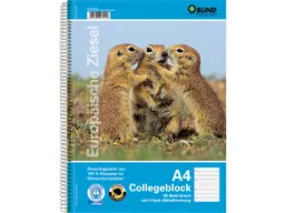 BUND BUND Collegeblock DIN A4 liniert – Produktbild 1 von 1
