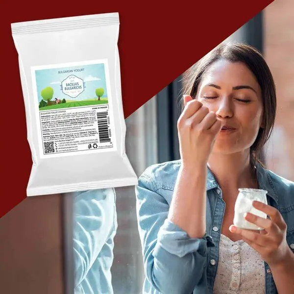 Bacillus Bulgaricus Bulgarische Joghurtkulturen - Naturjoghurt selber machen (3er Pack) – Produktbild 2 von 4