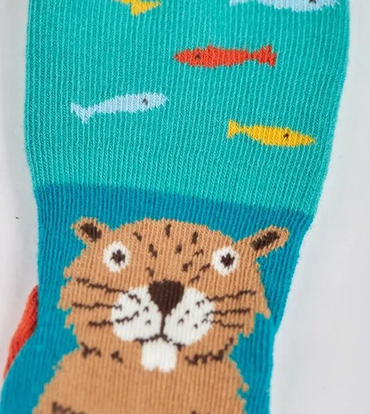 Frugi Frugi Lustige Kindersocken im 2er-Pack aus Biobaumwolle – Produktbild 3 von 3