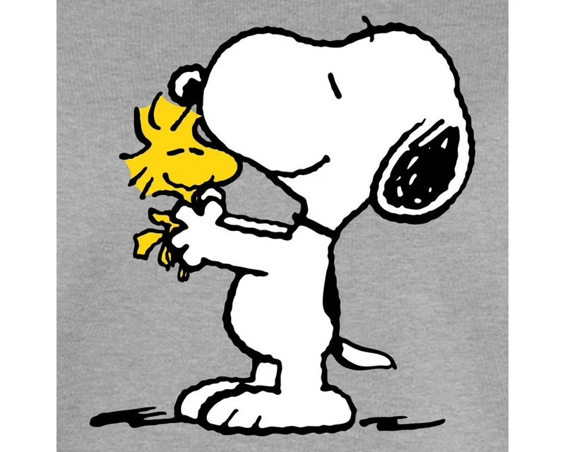 Spreadshirt Sweatshirt Peanuts Snoopy Und Woodstock Damen Premium Pullover (1-tlg) Normaler Schnitt für optimale Passform, Grau, – Produktbild 2 von 4