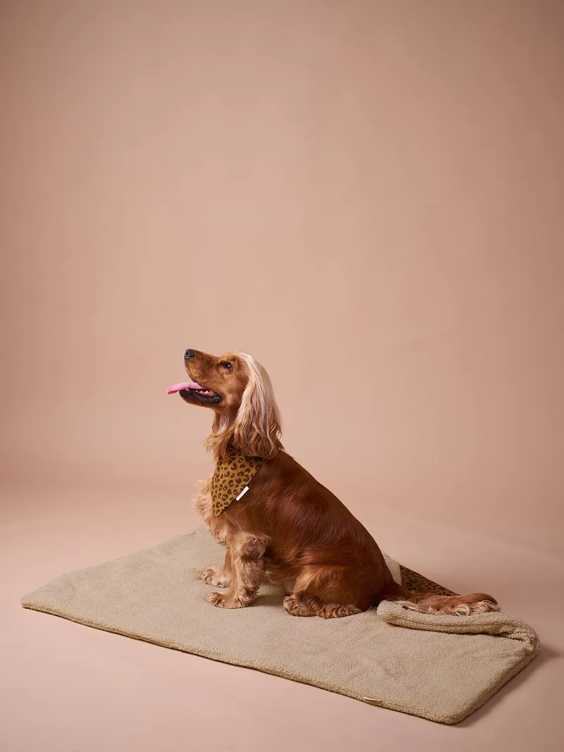 Vertbaudet Wendbare Hundedecke, Braun bedruckt, – Produktbild 3 von 4