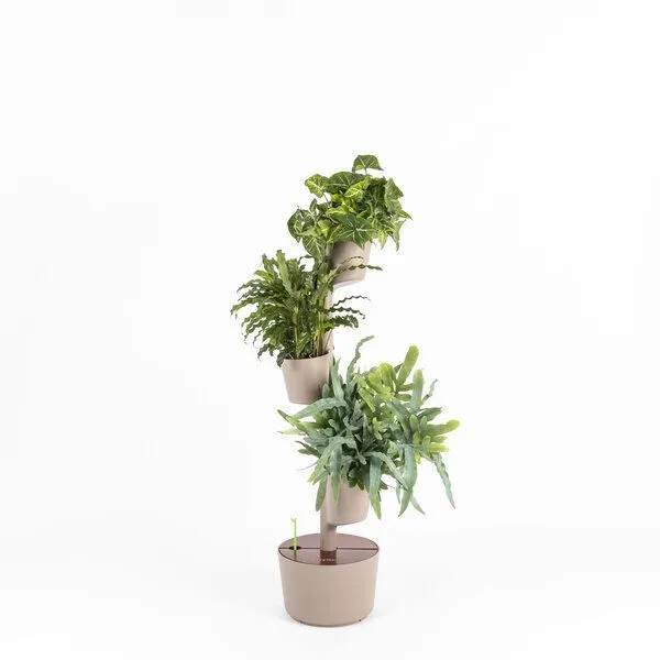 CitySens CitySens Vertikaler Blumentopf mit 3 luftreinigenden Pflanzen, Rinde-teak, – Produktbild 1 von 4