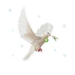 OxfamUnverpackt OxfamUnverpackt Spenden-Geschenk "Friedenstaube" (Weihnachtskarte mit Magnet) – Produktbild 1 von 1