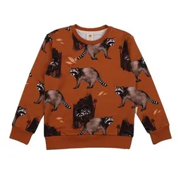 Walkiddy Walkiddy Kinder Sweatshirt GOTS zertifiziert, 95% Bio-Baumwolle, braun, Waschbär-Muster, weich & bequem – Produktbild 1 von 1