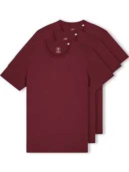 YTWOO YTWOO 3er Pack Iconic Basic Unisex T-Shirt aus 100% Biobaumwolle|Essential Farben|Fair|Nachhaltig – Produktbild 1 von 1