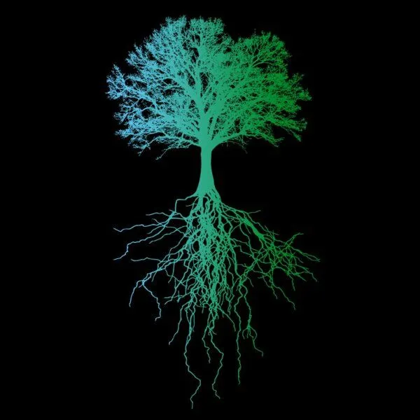 roots of compassion roots of compassion Hoodie "Deep Roots" Baum bio & fair & vegan - gerader Schnitt - Kapuzenpullover, Wurzeln, Natur, Umwelt, Schwarz, – Produktbild 2 von 2