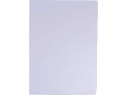 Exacompta 100 Exacompta Sichthüllen "Forever" Recycling-PP, DIN A4, 120µ, genarbt – Produktbild 1 von 1