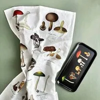 Koustrup Koustrup & Co Gartenmotiv-Geschirrtücher aus 100% Bio-Baumwolle, 48 x 70 cm, Mushrooms, – Produktbild 1 von 1