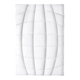 Frankenstolz Duo-Light-Steppbett "Natura" – Produktbild 1 von 1