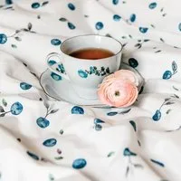 Lesen Design Bettwäsche Lesen - Design-Bettwäsche Nachhaltiges Doppelbettwäsche-Set aus 100% Pima Baumwollsatin - Wildheidelbeeren – Produktbild 1 von 1