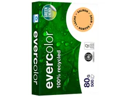 Clairefontaine 500 Blatt Clairfontaine Farbiges Recycling-Kopierpapier 'Evercolor' Lachs, 80g, DIN A4 – Produktbild 1 von 1