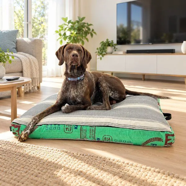GOOPSI GOOPSI Hundebett mit BIO-Dinkelfüllung, Grün, – Produktbild 6 von 7