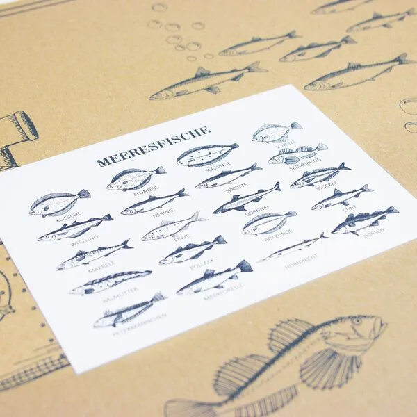 Bow & Hummingbird Bow & Hummingbird Postkarte Meeresfische – Produktbild 2 von 2