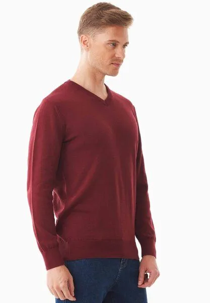 ORGANICATION ORGANICATION Pullover aus Bio-Baumwolle mit V-Ausschnitt, Syrah red, – Produktbild 3 von 4