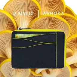 Ashoka Paris Ashoka Paris Großes Kartenetui mit Reißverschluss aus Mylo Pilzmaterial Gelb – Produktbild 1 von 1