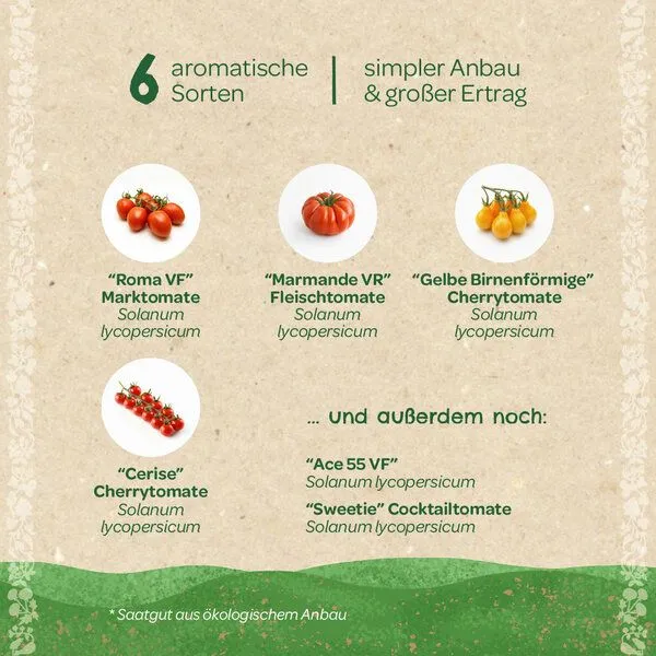 Die Stadtgärtner Die Stadtgärtner BIO-Saatgut-Set "Tomaten" – Produktbild 1 von 3