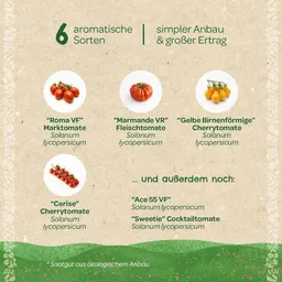 Die Stadtgärtner Die Stadtgärtner BIO-Saatgut-Set "Tomaten" I Saatgut-Set I Geschenk für alle Gartenliebhaber oder Tomatenliebhaber – Produktbild 1 von 1