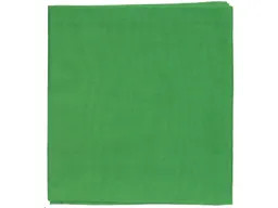 HANS NATUR Spieltuch Bio-Baumwolle 115 x 105 cm apfelgrün – Produktbild 1 von 1