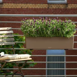 Lechuza® Lechuza® 'Balconera Color 80', muskat, ca. 79 x 19 x H 19 cm – Produktbild 1 von 1