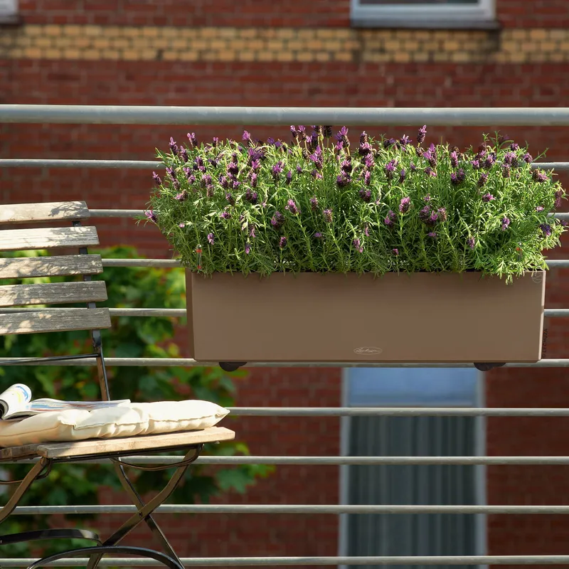 Lechuza® Lechuza® 'Balconera Color 80', muskat, ca. 79 x 19 x H 19 cm, Braun, – Produktbild 1 von 1