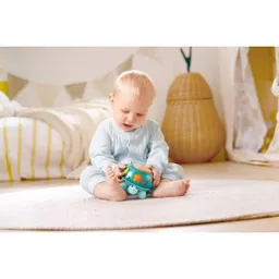 Hape Hape Musik-Schildkröte – Produktbild 1 von 1